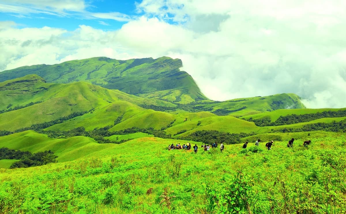 Kudremukh trek trail through shola forest, Karnataka