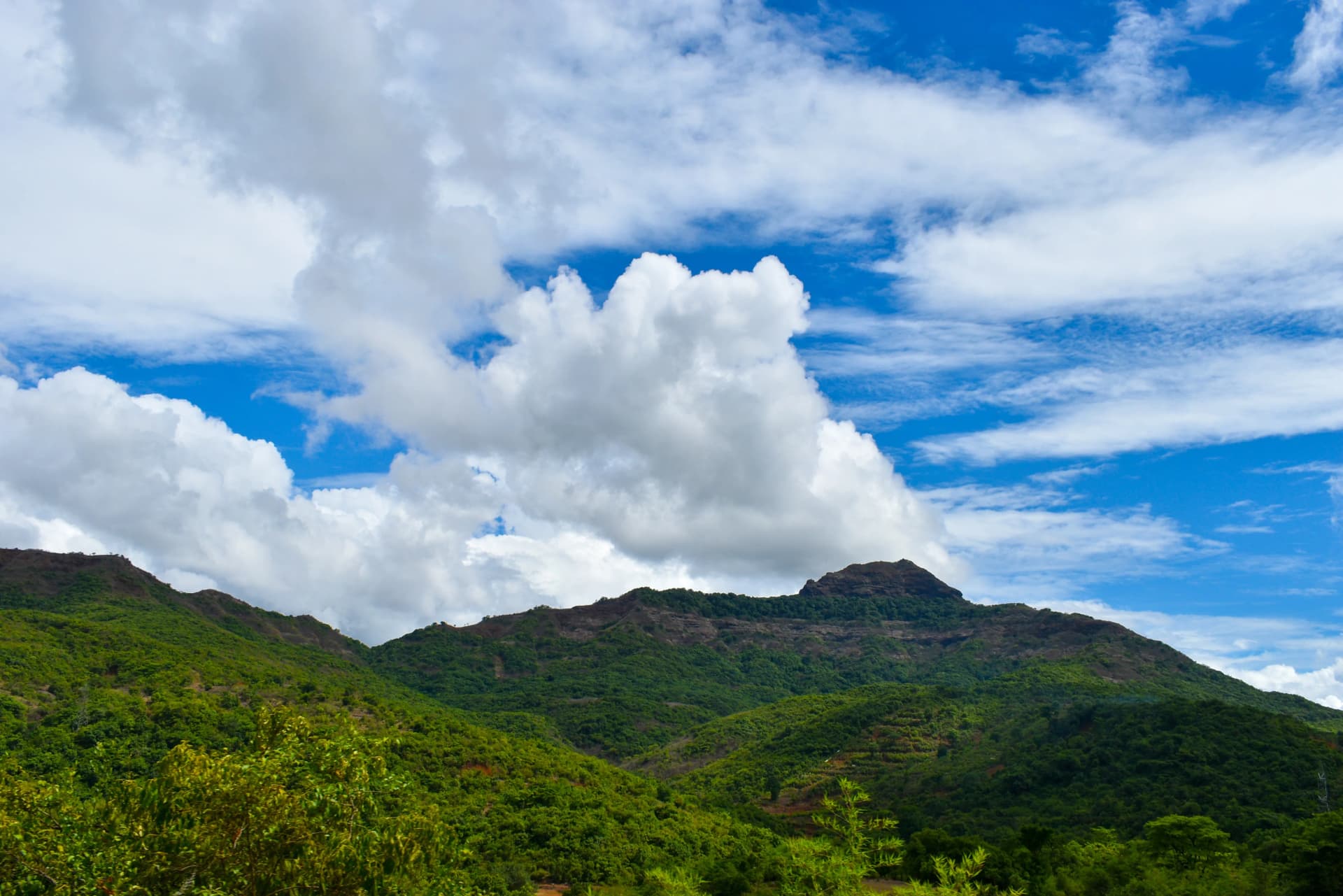 Narasimha Parvatha Trek: Trees, Clouds, and Blue Skies Amidst Mountains